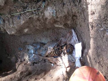 A buried skeleton, uncovered at the Thai border jungle camp today