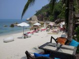 UPDATE Box Jellyfish Stings Kill Young German Tourist on Thai Island of Samui: Authorities Issue Warning